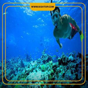 تفریحات آبی کیش