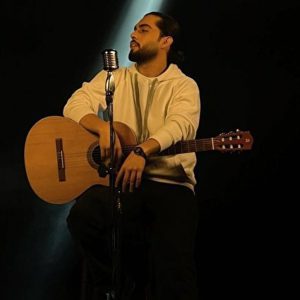 حامیم در کنسرت